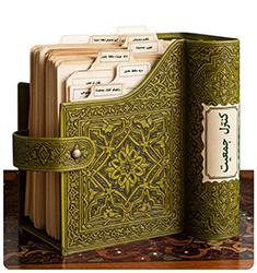 فقه کنترل جمعیت